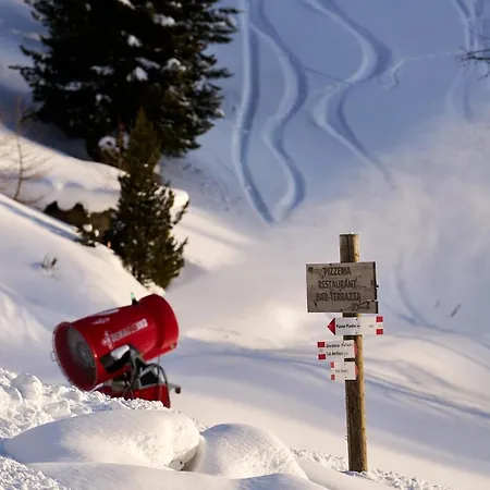 Pordoi Passo Pordoi Vegetarian *