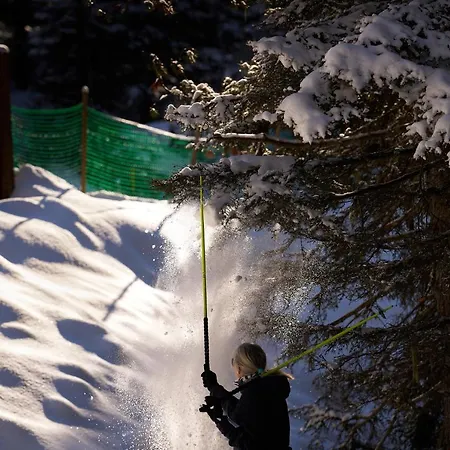 Pordoi Passo Pordoi Vegetarian