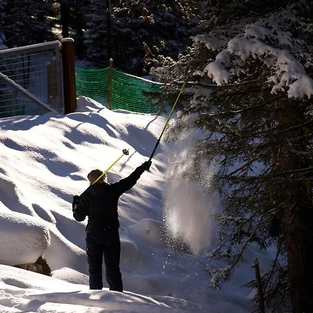 Pordoi Passo Pordoi Vegetarian Canazei