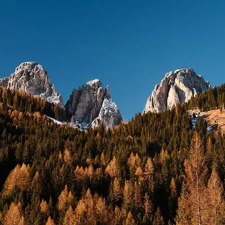 Pordoi Passo Pordoi Vegetarian * Canazei