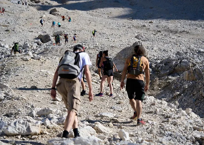 Pordoi Passo Pordoi Vegetarian Canazei