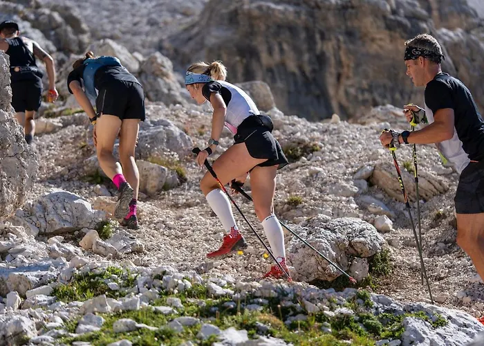 Pordoi Passo Pordoi Vegetarian 酒店 *