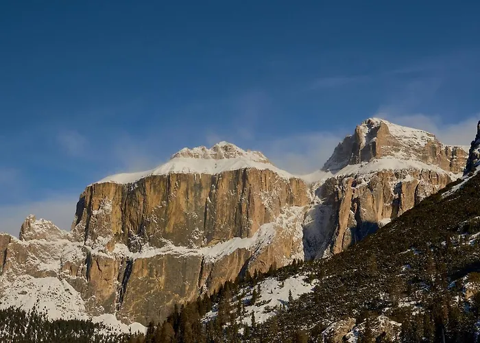 Pordoi Passo Pordoi Vegetarian 酒店 卡纳泽伊