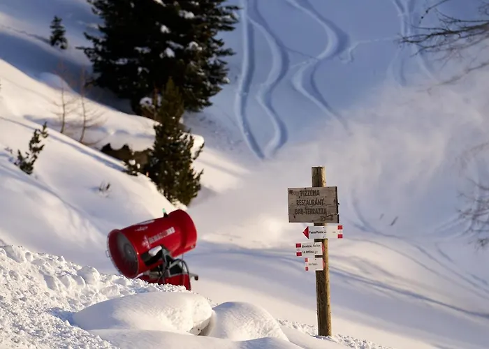 Pordoi Passo Pordoi Vegetarian *