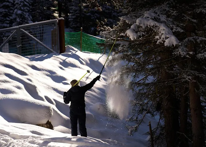 Pordoi Passo Pordoi Vegetarian 까나제이