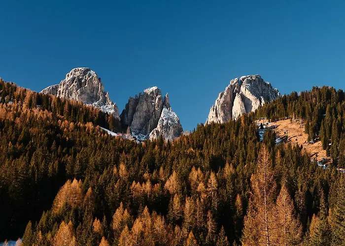 Pordoi Passo Pordoi Vegetarian * 까나제이